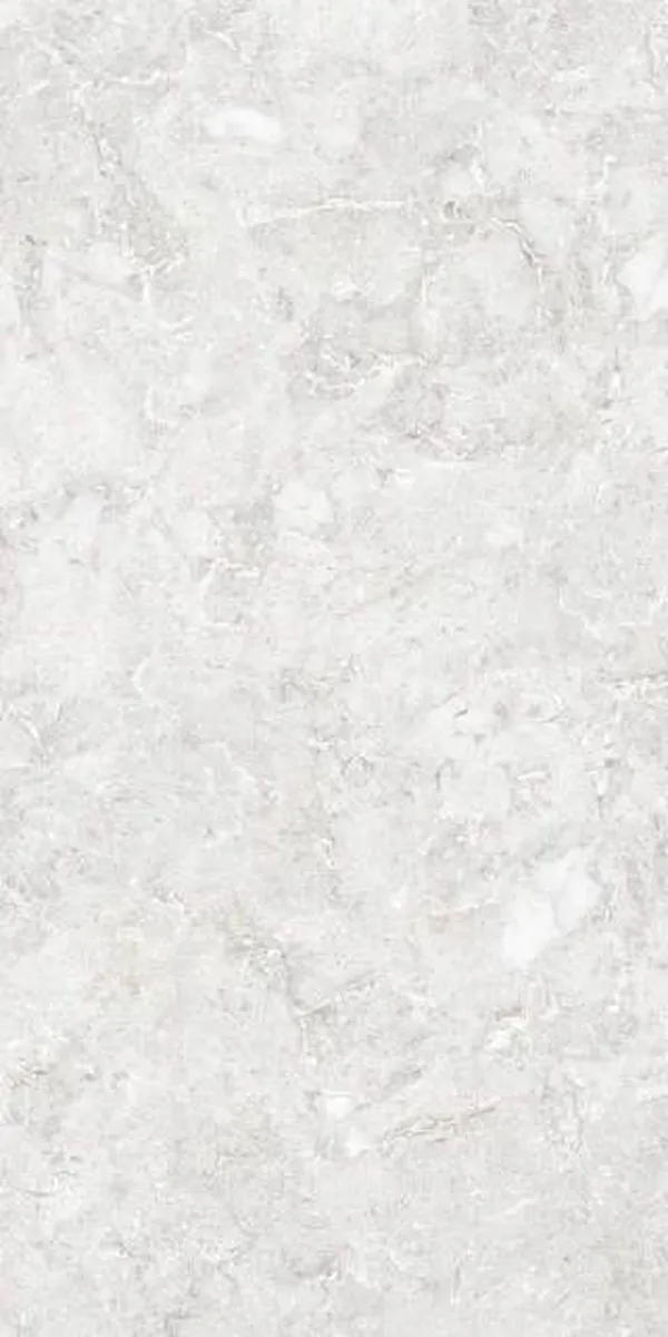 Glossy Finish EBANA-BIANCO GVT 600x1200mm